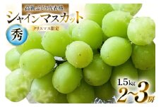【クリスマスまでの限定発送】 シャインマスカット 秀 2～3房 約 1.5kg [安達長作 山形県 高畠町 tk06ays990006] 箱詰め フルーツ 果物 くだもの ぶどう ブドウ 葡萄 1.5キロ 甘い