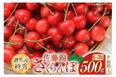 【期間限定発送】 さくらんぼ 置賜産 佐藤錦 特秀 L～3L 500g 化粧箱入り [JA山形おきたま 山形県 高畠町 tk06ays870048] サクランボ チェリー 山形 果物 フルーツ くだもの