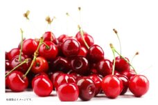 【期間限定発送】 さくらんぼ 置賜産 紅秀峰 特秀 2L～3L 500g 化粧箱入り [JA山形おきたま 山形県 高畠町 tk06ays870049] サクランボ チェリー 山形 果物 フルーツ くだもの