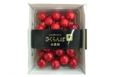 【期間限定発送】 さくらんぼ 置賜産 佐藤錦 特秀 L～3L 500g [JA山形おきたま 山形県 高畠町 tk06ays870050] サクランボ チェリー 山形 果物 フルーツ くだもの