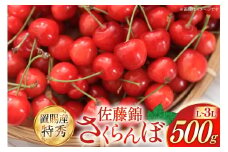 【期間限定発送】 さくらんぼ 置賜産 佐藤錦 特秀 L～3L 500g [JA山形おきたま 山形県 高畠町 tk06ays870050] サクランボ チェリー 山形 果物 フルーツ くだもの