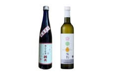 限定品100セット! 梅酒2本セット 高畠ワイン 辯天 500ml 日本酒 ワイン 梅酒 詰め合わせ [小田部商店 山形県 高畠町 tk06ayt180053] 梅酒 お酒 酒 純米梅酒 ブランデー