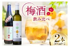 限定品100セット! 梅酒2本セット 高畠ワイン 辯天 500ml 日本酒 ワイン 梅酒 詰め合わせ [小田部商店 山形県 高畠町 tk06ayt180053] 梅酒 お酒 酒 純米梅酒 ブランデー