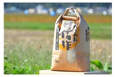 米 令和6年 特別栽培米 コシヒカリ 5kg [遠藤農園 山形県 高畠町 tk06ayt120001] こしひかり 5キロ お米 ブランド米 ごはん ご飯 白米 精米 こめ