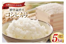 米 令和7年 特別栽培米 コシヒカリ 5kg [遠藤農園 山形県 高畠町 tk06ayt120001] こしひかり 5キロ お米 ブランド米 ごはん ご飯 白米 精米 こめ