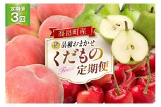 【期間限定発送】 訳あり 定期便 3回 品種おまかせ くだもの定期便 [金子農園 山形県 高畠町 tk06ays950001] さくらんぼ もも ラ・フランス 果実 果物 くだもの フルーツ 食べ比べ 訳あり