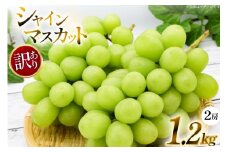 【期間限定発送】 シャインマスカット 訳あり 2房 1.2kg [安達長作 山形県 高畠町 tk06ays990002] 箱詰め フルーツ 果物 くだもの ぶどう ブドウ 葡萄 1.2キロ 甘い
