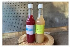 ぶどう ジュース 2種 （赤・白） 各600ml [大野農園 Rapporti 山形県 高畠町 tk06ayt050006] セット 2本 フルーツジュース 葡萄 ブドウ グレープ グレープジュース 飲み比べ 無添加