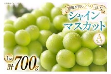 【クリスマスまでの限定発送】 シャインマスカット Aランク 1房 700g [田制農園 山形県 高畠町 tk06ayt230001] ぶどう ブドウ 葡萄 マスカット フルーツ 果物 くだもの 産地直送 農家直送