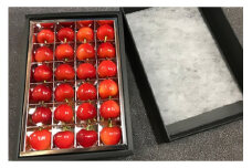 【期間限定発送】 サクランボ  24粒 秀 3L 紅王 [金子農園 山形県 高畠町 tk06ays950004] 箱入 並び詰め 箱入れ 果物 くだもの フルーツ サクランボ べにおう 化粧箱