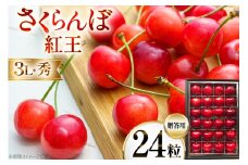 【期間限定発送】 サクランボ  24粒 秀 3L 紅王 [金子農園 山形県 高畠町 tk06ays950004] 箱入 並び詰め 箱入れ 果物 くだもの フルーツ サクランボ べにおう 化粧箱