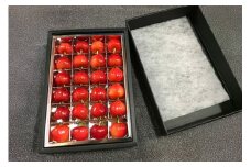 【期間限定発送】 サクランボ 紅秀峰 秀 2Lサイズ 24粒 [金子農園 山形県 高畠町 tk06ays950003] 箱入 並び詰め 果物 くだもの フルーツ サクランボ べにしゅうほう 化粧箱
