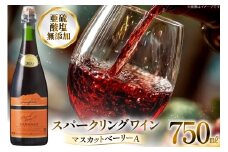 スパークリング 高畠ワイナリー マスカットベーリーA 750ml [小田部商店 山形県 高畠町 tk06ayt180128] 亜硫酸塩 無添加 甘口 ライトボディ ワイン 赤ワイン 発泡 酒 お酒