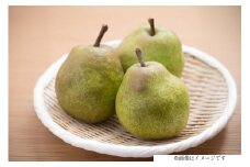 【期間限定発送】 ラ・フランス 山形県 セレクション品 ラ・フランス 9玉 3kg [三鷹洋梨園 山形県 高畠町 tk06ays910000] 果物 くだもの フルーツ 洋なし 洋梨 ラフランス