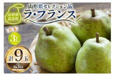 【期間限定発送】 ラ・フランス 山形県 セレクション品 ラ・フランス 9玉 3kg [三鷹洋梨園 山形県 高畠町 tk06ays910000] 果物 くだもの フルーツ 洋なし 洋梨 ラフランス