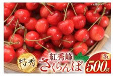 【期間限定発送】 さくらんぼ 紅秀峰 特秀 3L サイズ 500g [JA山形おきたま 山形県 高畠町 tk06ays870055] サクランボ チェリー