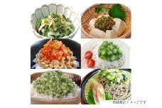 漬物 2回 定期便 詰め合わせ 3種 ( 山形のだし 2p おみ漬 2p わさび昆布 1p ねぎからし 2p 味付けオクラめかぶ 2p ごま油壷キムチ 1p ) [三和漬物食品 山形県 高畠町 tk06ayk200005] セット 漬け物 ご飯のお供