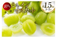 【期間限定発送】 シャインマスカット 訳あり 3～5房 約1.5kg [oboco grapes 山形県 高畠町 tk06ayt250004] ぶどう ブドウ 葡萄 ご家庭用 フルーツ 果物 くだもの 1.5キロ 甘い