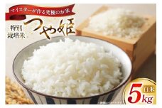 米 令和7年 つや姫マイスターが作る 特別栽培米 つや姫 5kg [遠藤農園 山形県 高畠町 tk06ayt120005] 5キロ お米 ブランド米 ごはん ご飯 白米 精米 こめ