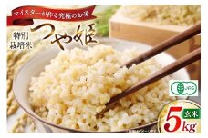 玄米 令和7年 つや姫マイスターが作る 特別栽培米 つや姫 5kg [遠藤農園 山形県 高畠町 tk06ayt120006] 5キロ お米 ブランド米 ごはん ご飯 こめ