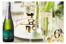 スパークリング 嘉 スパークリングワイン ピノ・シャルドネ 750ml 6本 [小田部商店 山形県 高畠町 tk06ayt180142] 高畠ワイナリー ワイン お酒 酒