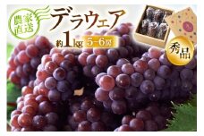 【期間限定発送】 デラウェア 秀品 5～6房 約1kg [相良果樹園 山形県 高畠町 tk06ayt350000] 贈答用 個包装 種無し ブドウ 葡萄 産地直送 農家直送 フルーツ 果物 くだもの