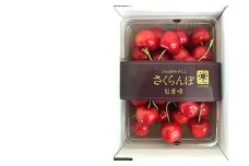 【期間限定発送】 さくらんぼ 置賜産 紅秀峰 特秀 500g 2Ⅼ以上 [JA山形おきたま 山形県 高畠町 tk06ays870051] サクランボ チェリー 山形 果物 フルーツ くだもの