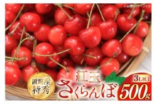 【期間限定発送】 さくらんぼ 置賜産 紅王 特秀 3L 以上 500g [JA山形おきたま 山形県 高畠町 tk06ays870053] サクランボ チェリー 山形 果物 フルーツ くだもの