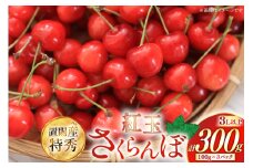 【期間限定発送】 さくらんぼ 置賜産 紅王 特秀 3L 以上 100g 3p 計300g [JA山形おきたま 山形県 高畠町 tk06ays870054] サクランボ チェリー 山形 果物 フルーツ くだもの