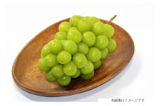 【期間限定発送】 シャインマスカット 箱 満杯詰め 4房 約2kg [相良果樹園 山形県 高畠町 tk06ayt350005] 個包装 ぶどう ブドウ 葡萄 マスカット 大粒 種なし 高級 くだもの 果物 フルーツ ご自宅用 訳あり品 規格外 農家支援品