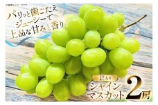 【期間限定発送】 シャインマスカット 訳あり 2房 1.1kg [もん前の里 山形県 高畠町 tk06ays960000] フルーツ 果物 くだもの ぶどう ブドウ 葡萄 1.1キロ 甘い