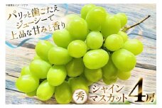 【期間限定発送】 シャインマスカット 秀 4房 約 2.4kg [もん前の里 山形県 高畠町 tk06ays960003] フルーツ 果物 くだもの ぶどう ブドウ 葡萄 2.4キロ 甘い