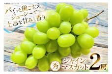 【期間限定発送】 シャインマスカット 秀 2房 約 1.2kg [もん前の里 山形県 高畠町 tk06ays960002] フルーツ 果物 くだもの ぶどう ブドウ 葡萄 1.2キロ 甘い