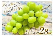 【期間限定発送】 シャインマスカット 約 2.8kg [もん前の里 山形県 高畠町 tk06ays960005] フルーツ 果物 くだもの ぶどう ブドウ 葡萄 2.8キロ 甘い