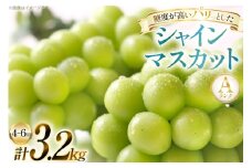 【期間限定発送】 シャインマスカット Aランク 4～6房 3.2kg [田制農園 山形県 高畠町 tk06ayt230003] ぶどう ブドウ 葡萄 マスカット フルーツ 果物 くだもの 産地直送 農家直送