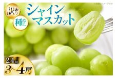 【期間限定発送】 シャインマスカット 訳あり 3～4房 約 2.4kg [Yamagenフルーツガーデンレコルト 山形県 高畠町 tk06ayt380000] ご家庭用 ぶどう ブドウ 葡萄 フルーツ 果物 くだもの 2.4キロ 甘い