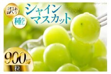 【期間限定発送】 シャインマスカット 訳あり 粒 900g [Yamagenフルーツガーデンレコルト 山形県 高畠町 tk06ayt380001] ご家庭用 ぶどう ブドウ 葡萄 フルーツ 果物 くだもの 甘い