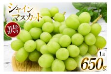【期間限定発送】 シャインマスカット 訳あり 1房 650g 以上 [安達長作 山形県 高畠町 tk06ays990004] 箱詰め フルーツ 果物 くだもの ぶどう ブドウ 葡萄 1.5キロ 甘い