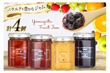 ジャム 山形県産 ジャム 4個 セット [たかはたファーム 山形県 高畠町 tk06ays680007] 詰め合わせ 食べ比べ ぶどう ブドウ グレープ イチゴ いちご 桃 もも ピーチ ブルーベリー じゃむ