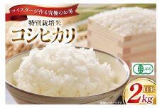 米 令和6年 特別栽培米 コシヒカリ 2kg 【有機JAS】 [遠藤農園 山形県 高畠町 tk06ayt120009] こしひかり 2キロ お米 ブランド米 ごはん ご飯 白米 精米 こめ