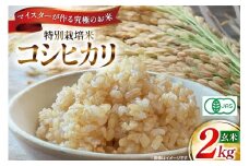 玄米 令和6年 特別栽培米 コシヒカリ 2kg 【有機JAS】 [遠藤農園 山形県 高畠町 tk06ayt120010] こしひかり 2キロ お米 ブランド米 ごはん ご飯 こめ