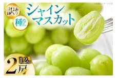 【期間限定発送】 シャインマスカット 訳あり 2房 1.2kg [Yamagenフルーツガーデンレコルト 山形県 高畠町 tk06ayt380003] ご家庭用 ぶどう ブドウ 葡萄 フルーツ 果物 くだもの 1.2キロ 甘い