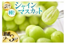 【期間限定発送】 シャインマスカット 訳あり 2〜3房 1.2kg [Yamagenフルーツガーデンレコルト 山形県 高畠町 tk06ayt380003] ご家庭用 ぶどう ブドウ 葡萄 フルーツ 果物 くだもの 1.2キロ 甘い