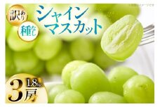 【期間限定発送】 シャインマスカット 訳あり 3房 1.8kg [Yamagenフルーツガーデンレコルト 山形県 高畠町 tk06ayt380004] ご家庭用 ぶどう ブドウ 葡萄 フルーツ 果物 くだもの 1.8キロ 甘い
