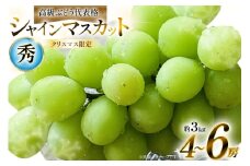 【クリスマスまでの限定発送】 シャインマスカット 秀 4〜6房 約 3kg [安達長作 山形県 高畠町 tk06ays990009] フルーツ 果物 くだもの ぶどう ブドウ 葡萄 3キロ 甘い