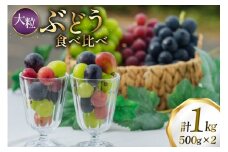 【期間限定発送】 ぶどう 食べ比べ 粒 500g 2パック 約 1kg 大粒 [oboco grapes 山形県 高畠町 tk06ayt250006] シャインマスカット ピオーネ フルーツ 果物 くだもの ぶどう ブドウ 葡萄 1キロ 甘い