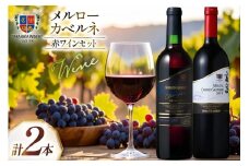 赤ワイン メルロー カベルネ  計2本 セット [高畠ワイナリー 山形県 高畠町 tk06ays730024] 飲み比べ 赤ワイン 酒 お酒 赤