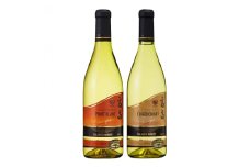 白ワイン 高畠クラシック シャルドネ 各720ml 2本 セット [高畠ワイナリー 山形県 高畠町 tk06ays730023] 飲み比べ 白ワイン 酒 お酒 セット