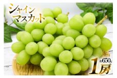 【期間限定発送】 シャインマスカット 1房 約 650g [いわた果樹園 山形県 高畠町 tk06ayt400000] ぶどう ブドウ 葡萄 フルーツ 果物 くだもの 甘い