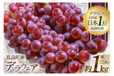 【期間限定発送】 ぶどう デラウェア 5～8房 約 1kg [いわた果樹園 山形県 高畠町 tk06ayt400003] 種無し ブドウ 葡萄 くだもの 果物 フルーツ 産地直送 農家直送
